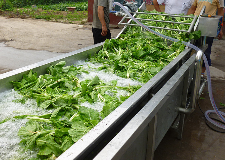 清洗機(jī)應(yīng)用案例